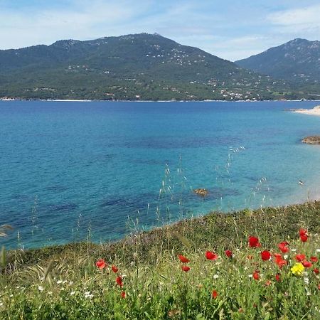 Studio T1 Bis Vue Mer Propriano Проприано Екстериор снимка