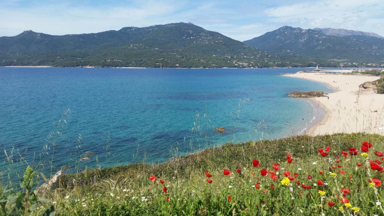 Studio T1 Bis Vue Mer Propriano Проприано Екстериор снимка